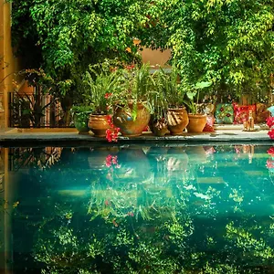 *** Riad Roxanne Marrocos
